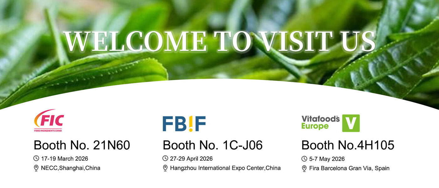 中国 最もよい Probioticsの粉 販売