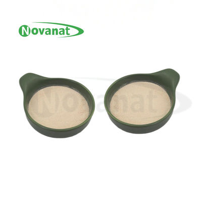 bifidobacterium bifidum BB47 Probiotics Powder Vegan/Allergen Free/Gluten Free/Dairy Free