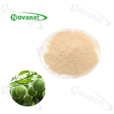 Monk Fruit Extract Powder 25% Mogroside V / Natural Sweetener / Clean Label / Water Soluble