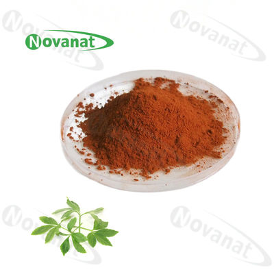 Gynostemma Pentaphyllum Extract Herbal Extract Powder 20% 80% 90% Gypenosides