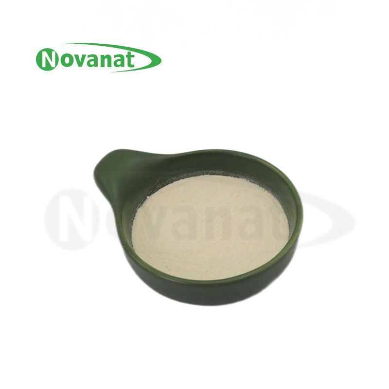 Lactobacillus delbrueckii subsp. bulgaricus LB2 /50billion CFU/g/Vegan/Allergen Free/Gluten Free/Dairy Free