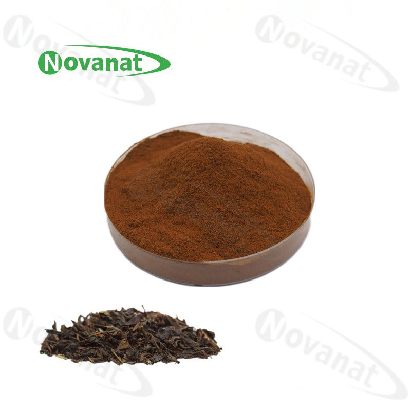 Instant Black Tea Extract Powder 15%-35% Polyphenols/Clean Label/Water Soluble