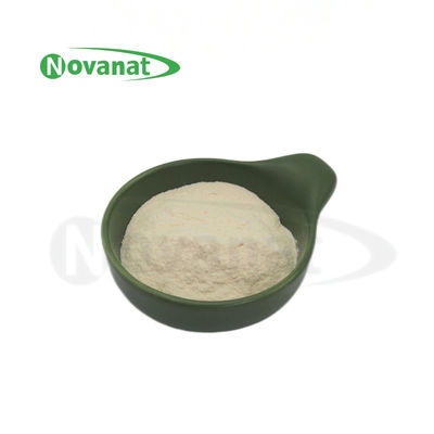 Levilactobacillus brevis LBr05 300億CFU/g プロバイオティクス粉末 / アレルゲン無 / グルテン無 / 乳製品無