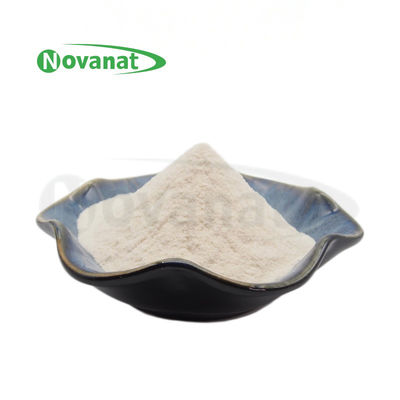 ラクティカセイバシルス・ケイシー LC18/400億 CFU/g/ベーガン/アレルゲンフリー/グルテンフリー/乳製品フリー