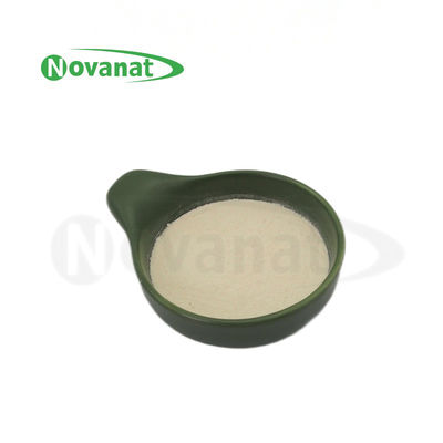 Lactobacillus delbrueckii subsp。ブルガリカスLB2/5,000億CFU/g/ビーガン/アレルゲンフリー/グルテンフリー/乳製品無料